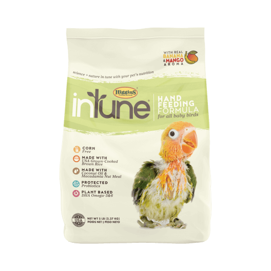 InTune Natural - Handfeeding Formula for All Birds | 284gm