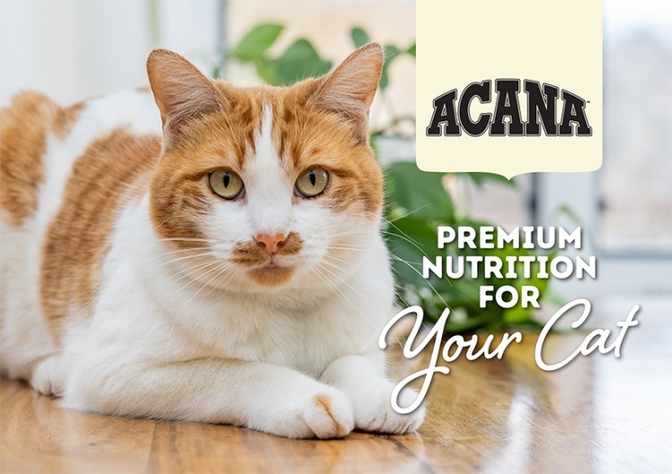 Brochure - Acana Cat (pack of 20)