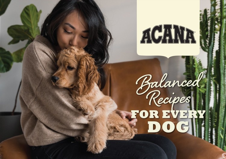 Brochure - Acana Dog (pack of 20)