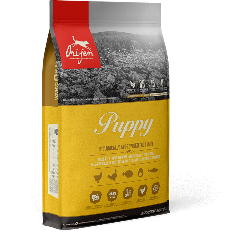Orijen Puppy 340gm