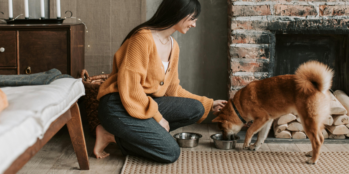 chicken-free dog food ACANA Singles