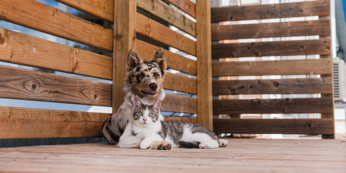 pet food for sensitive skin