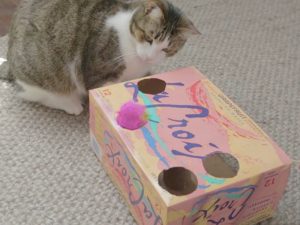 10 Easy Cat Toys You Can Make At Home