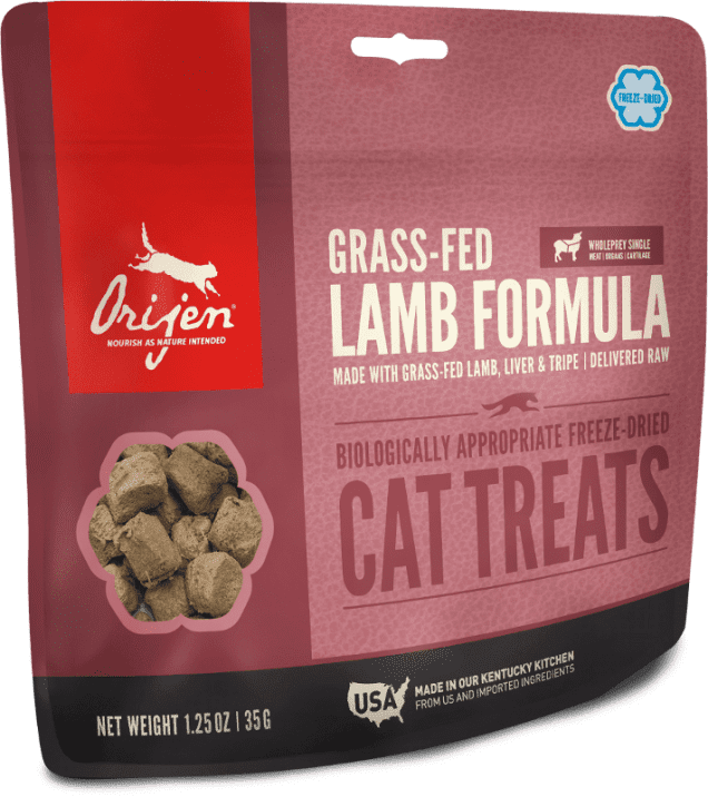 10 Tips For Keeping Your Pets Safe Over Christmas