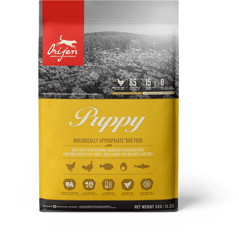 CHOOSING THE BEST PUPPY FOOD & NUTRIENTS FOR YOUR PUPPY