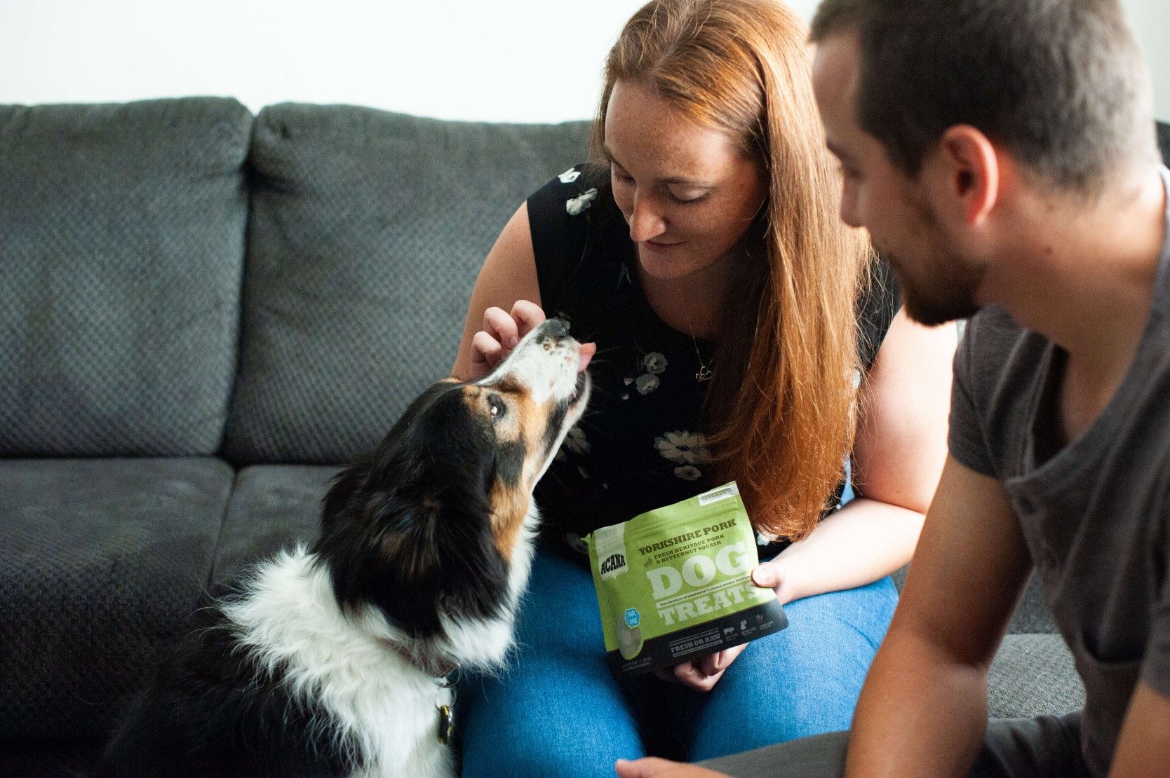 Rotational Feeding for Dogs & Cats: Benefits and How-To Switch