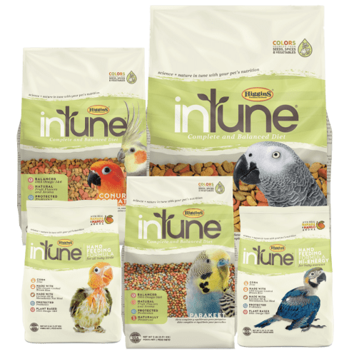 Higgins hotsell bird food
