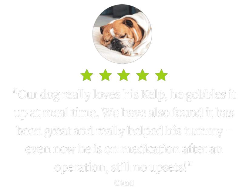 Pet kelp deals