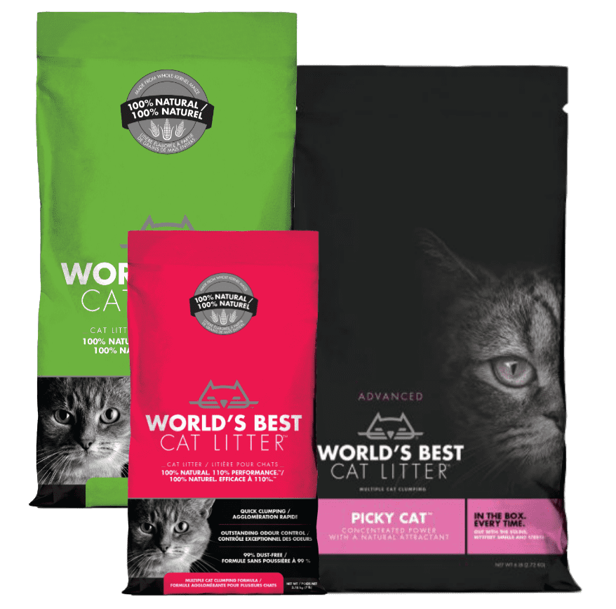 World's best cat litter