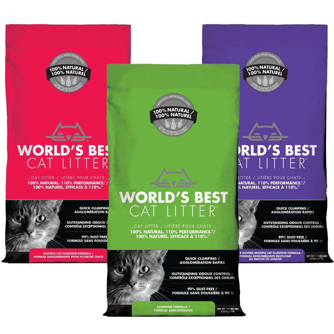 World's best cat litter
