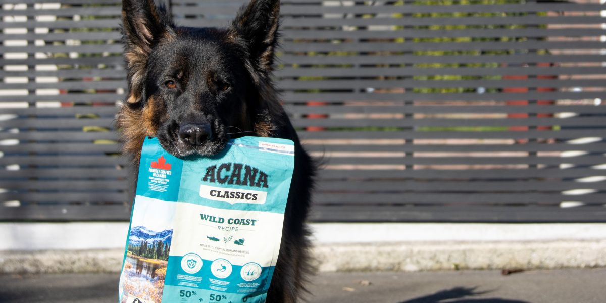 dog with ACANA Wild Coast in mouth