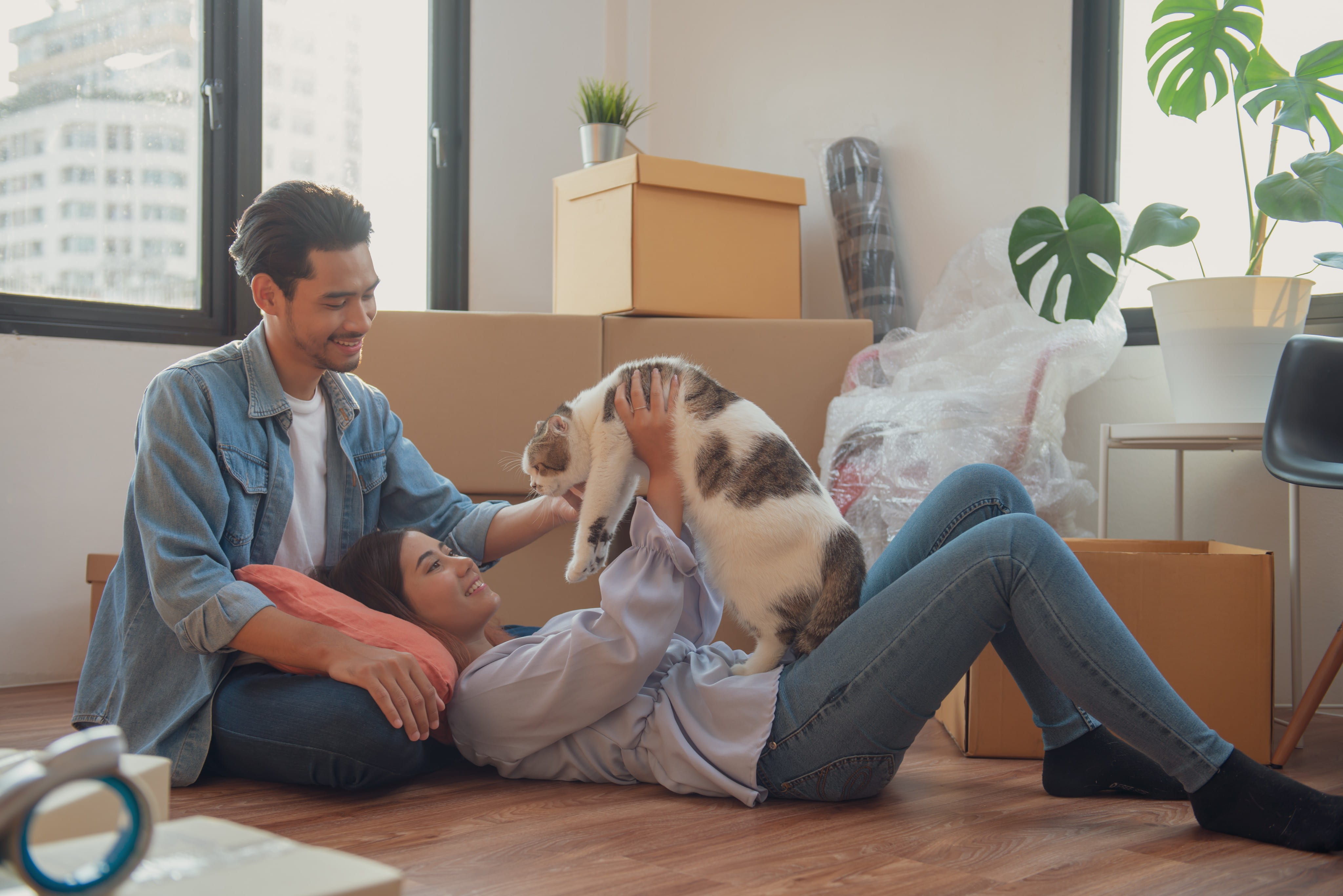 How To Move House - With A Cat!