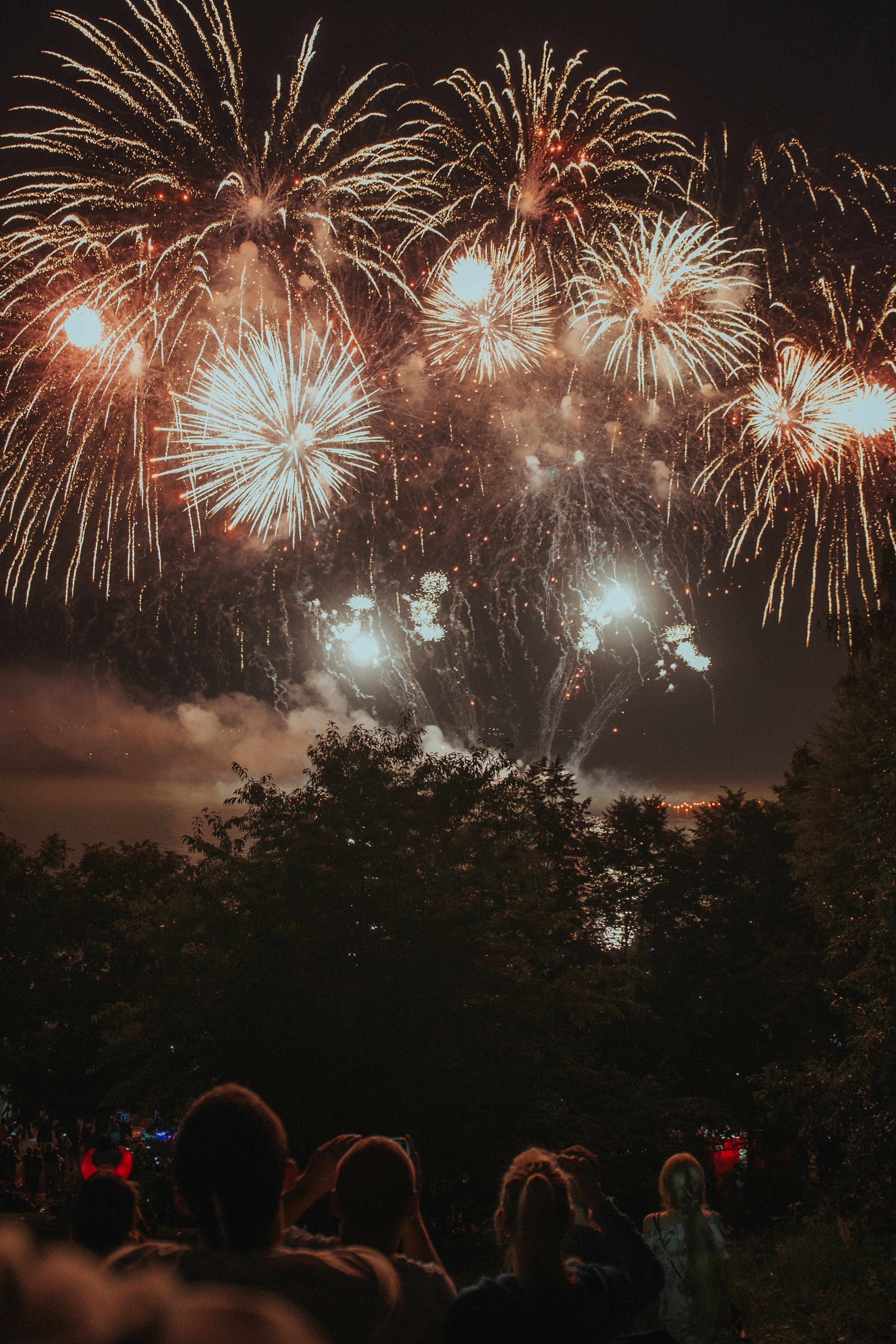 Fireworks – 12 Top Tips To Keep Your Pet Safe And Stress Free